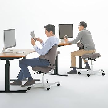おまとめ Capisco様 HAG Capisco カピスコ チェア クロス張り ミドルハイタイプ